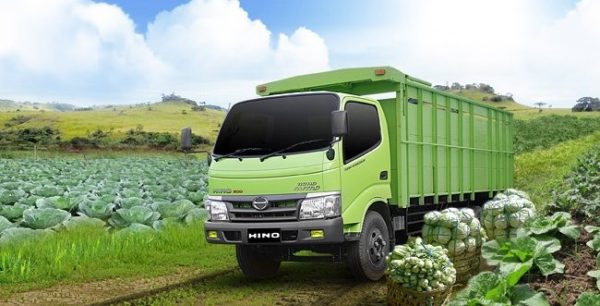 HINO-DUTRO-110-LDL-PIC1-600x306  